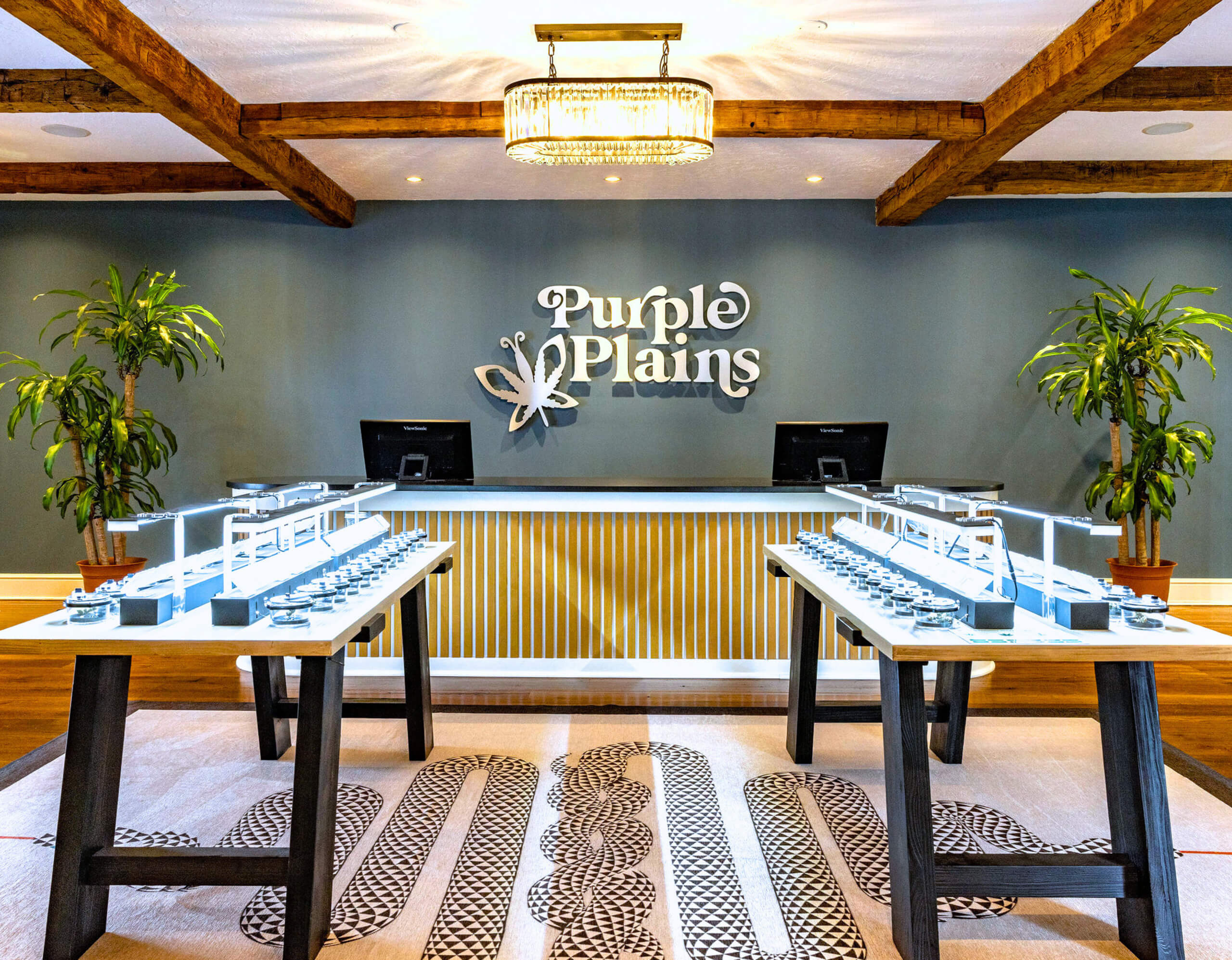 Purple Plains Cannabis Dispensary Store Interior