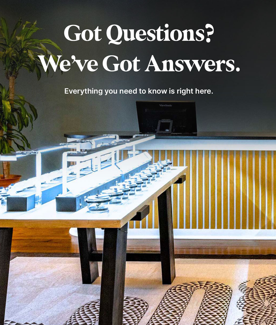 Frequently Asked Questions | Everything You Need to Know